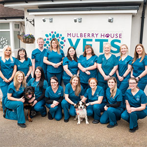 Mulberry House Vets