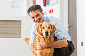 Supervet on vital pet insurance questions. Read more