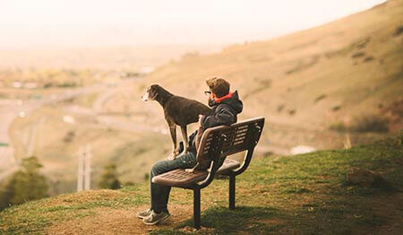 Dog and man on a bench