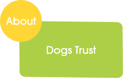About Dogstrust