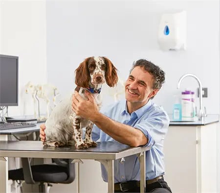 Supervet Noel Fitzpatrick holds a brown-and-white spaniel on an exam table in a clinic
