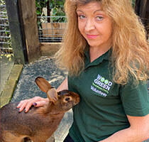 Sue Laos, Wood Green The Animals Charity Godmanchester