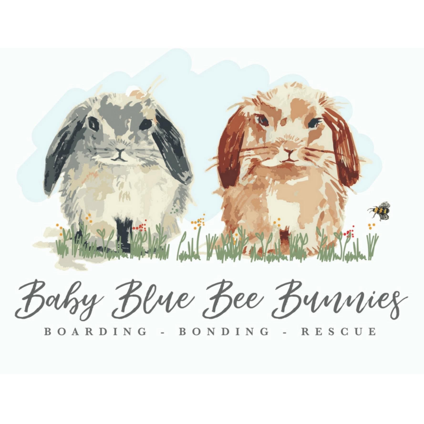Baby Blue Bee Bunnies