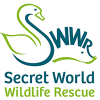 Secret World Wildlife Rescue