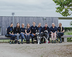 Cotswolds Dogs & Cats Home