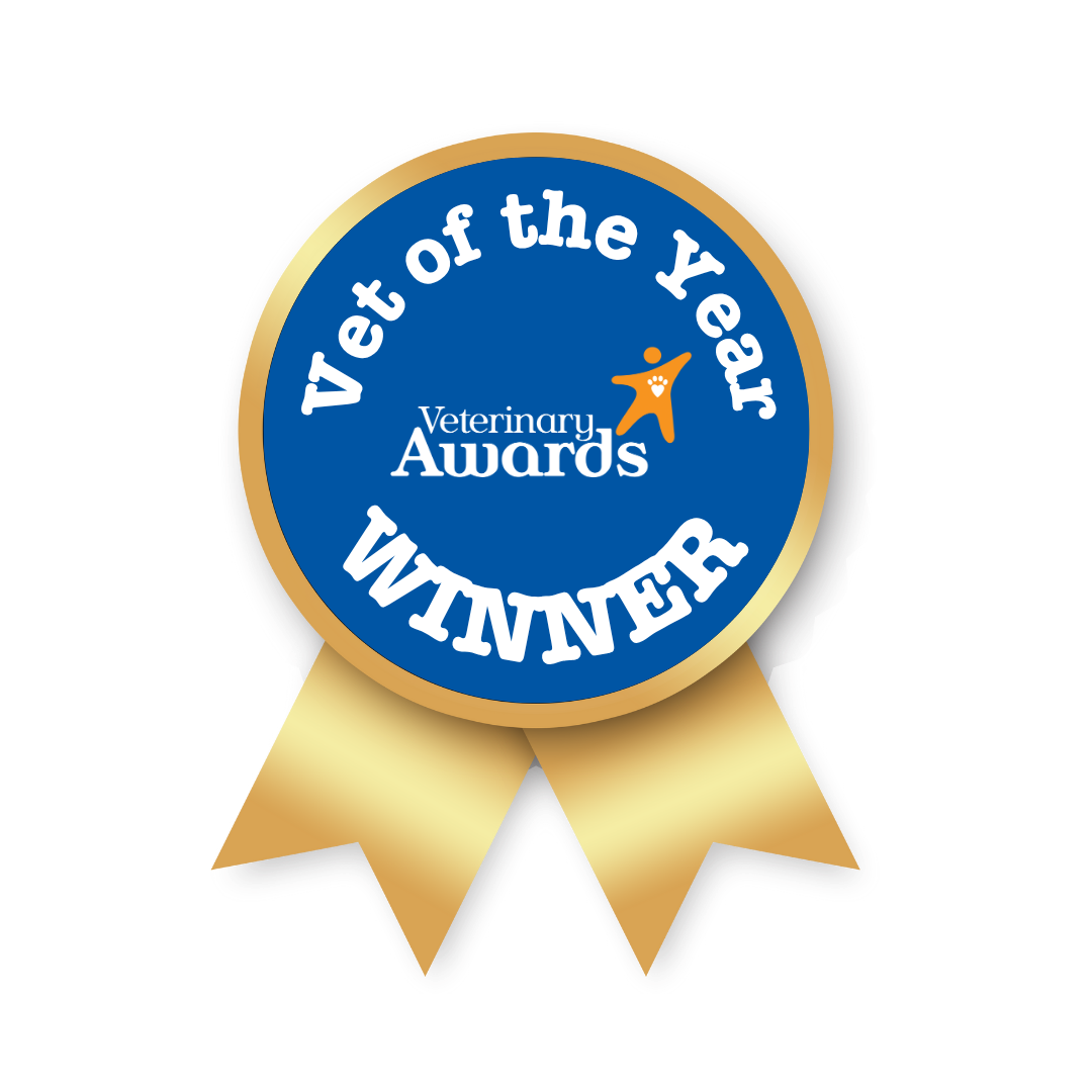 A blue and gold award ribbon for "Vet of the Year" from Petplan Veterinary Awards 2025