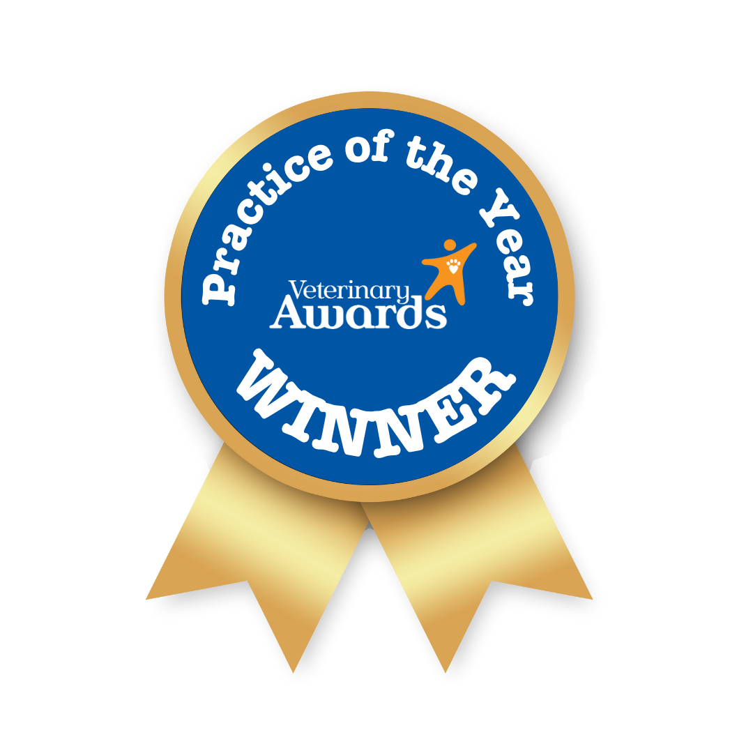 A blue and gold award ribbon for "Practice of the Year" from Petplan Veterinary Awards 2025