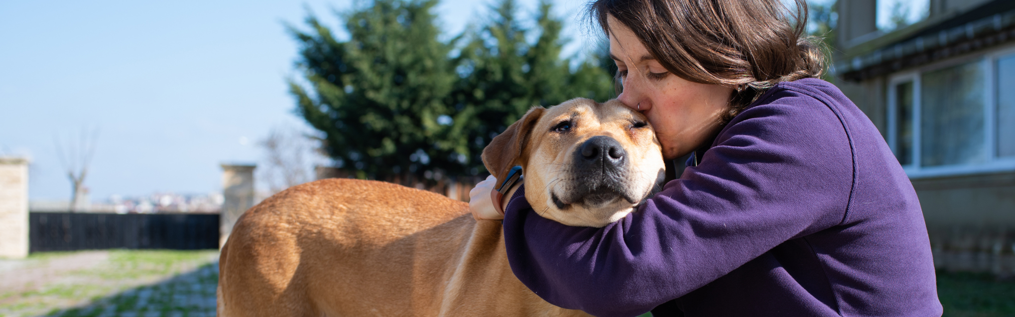 A woman in a purple top embraces and kisses a light brown dog on the head outdoors.