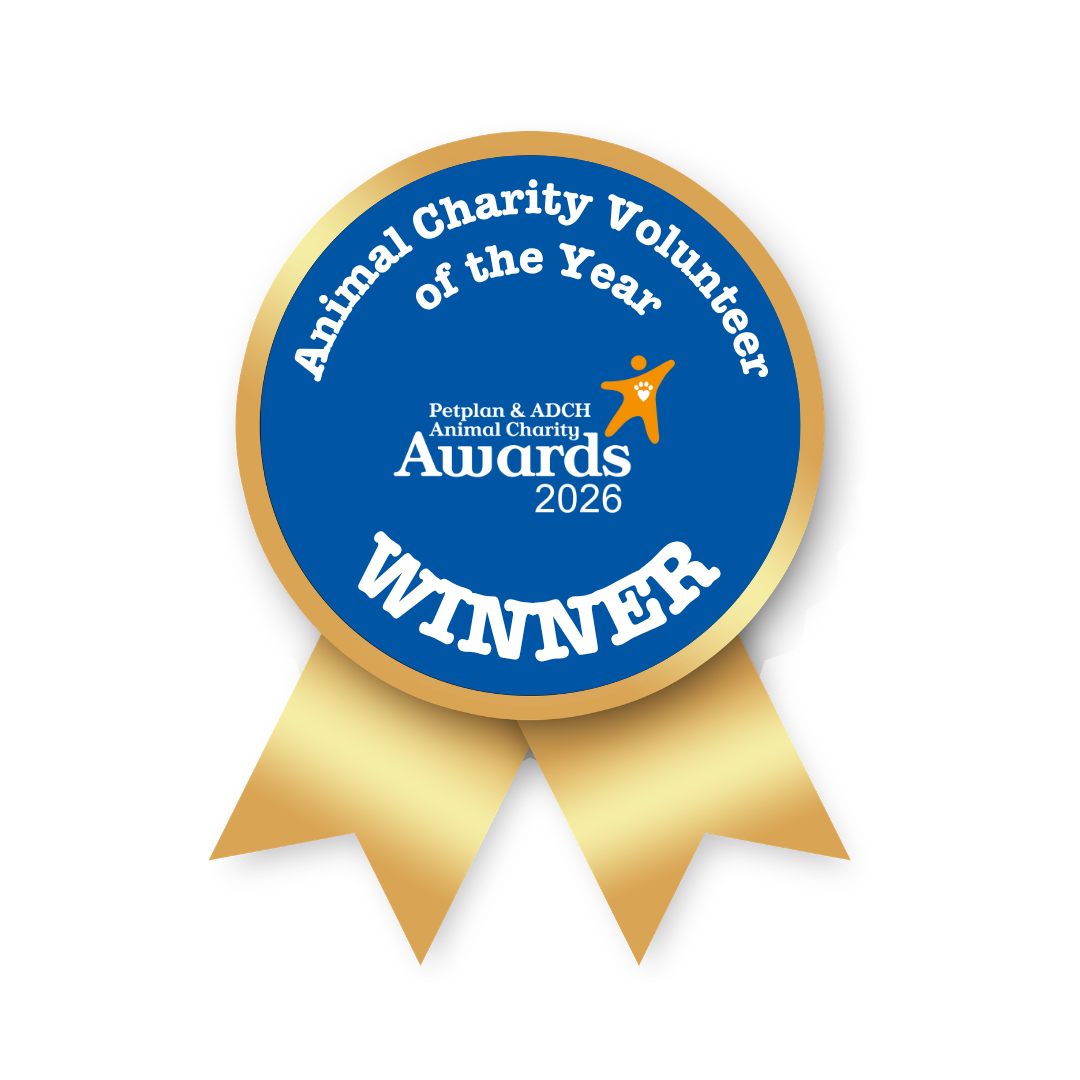 A blue and gold award ribbon for "Volunteer Nurse of the Year" from animal charity awards 2026