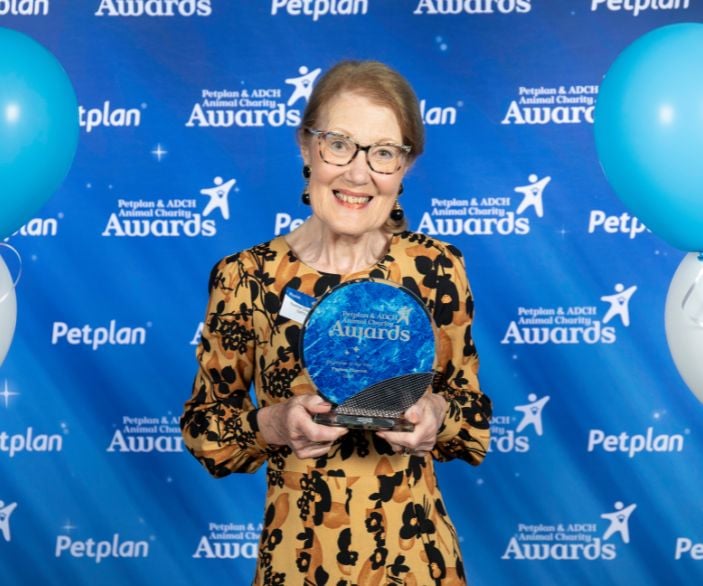 Yvonne Chauvel