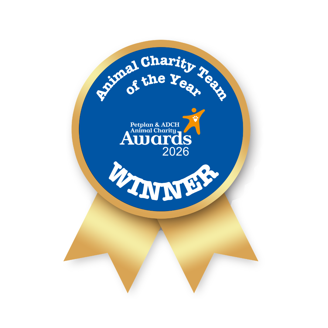 A blue and gold award ribbon for "Team of the Year" from Animal Charity Awards 2026
