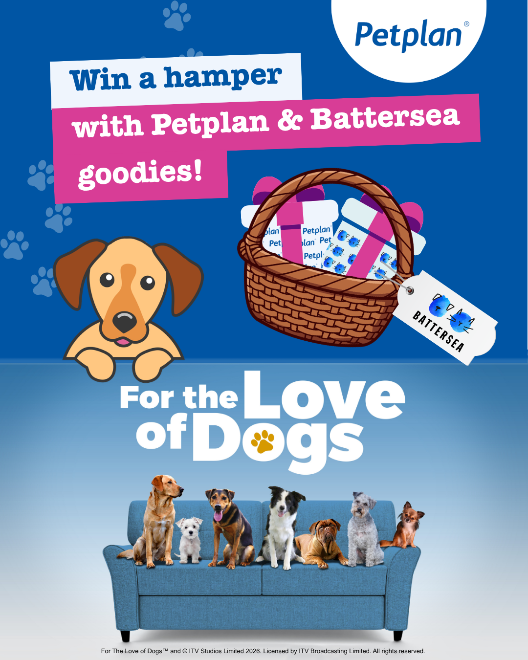 Image of social giveaway