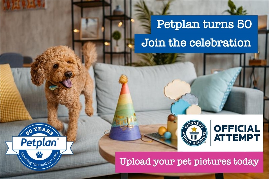 petplan turns 50