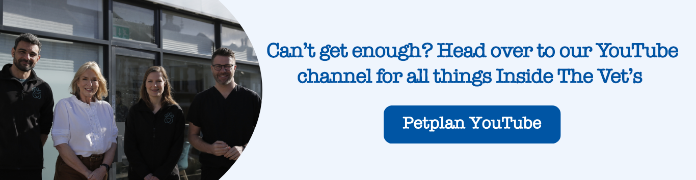 clickable image reads head to our Youtube channel for all things inside the vet's