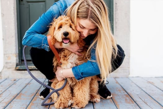 woman in a denim shirt hugs a cockapoo