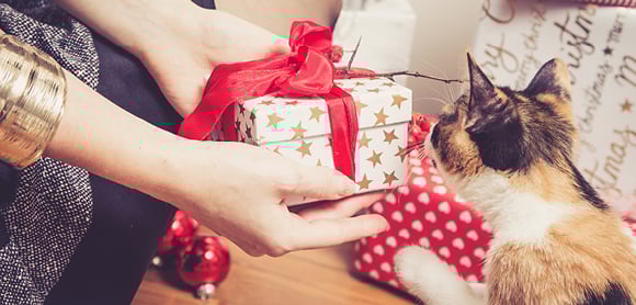 Cat being given a Christmas present