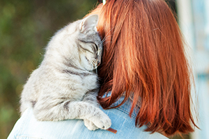 A gray tabby cat rests on a person's shoulder, its eyes closed in contentment.