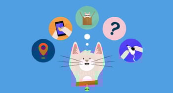 An illustration of a cat's head with thought bubbles showing a phone, a cat in a box, a question mark, and a mouse.