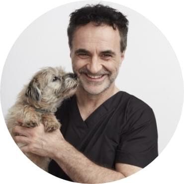  A portrait photo of veterinarian Noel Fitzpatrick holding a small dog.