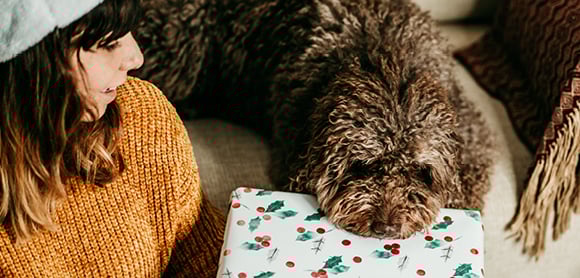 Dog with Christmas present