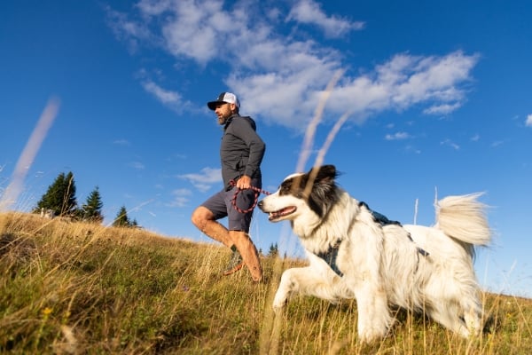 dog and a man running through a field
