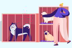 Illustration of a person looking at dogs in cages, including a husky, a white fluffy dog, and a pug.
