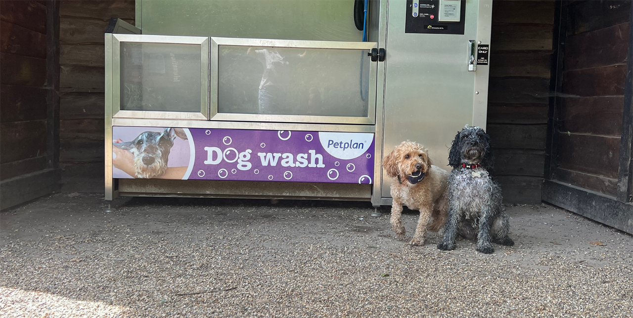 Two dogs sit in front of a Petplan dog wash station. One is light brown and the other is gray and black.