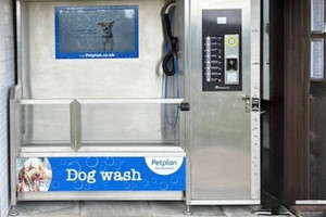 Bracelands campsite dog wash
