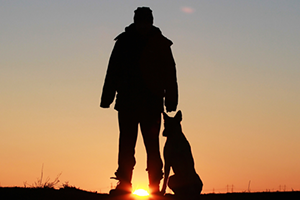 Silhouette of a person standing next to a dog sitting, with the sun setting behind them.