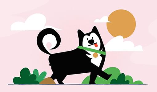 An illustration of a black and white dog with a green collar, walking past a bush.