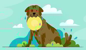 An illustration of a wet, muddy brown dog holding a yellow frisbee in its mouth, with clouds and bushes.