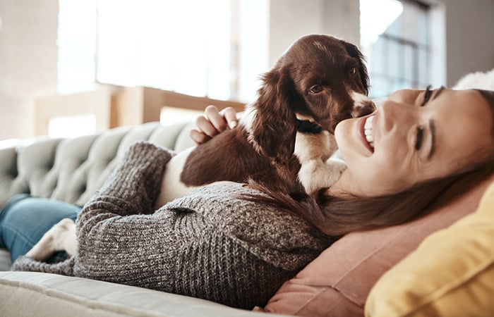 dog kissing owners face