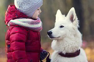 A child in a red coat and hat looking at a white fluffy dog with a brown collar.
