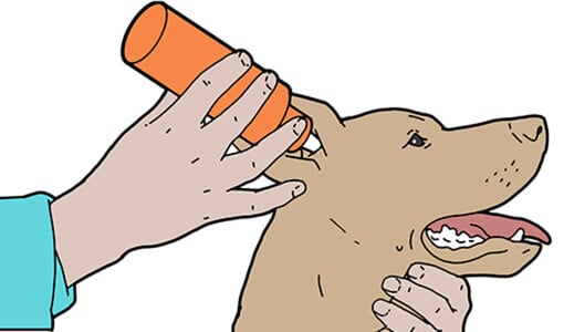 An illustration of a person applying ear drops to a dog's ear.