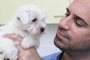 A man holds a small white puppy, looking at it with a gentle expression.