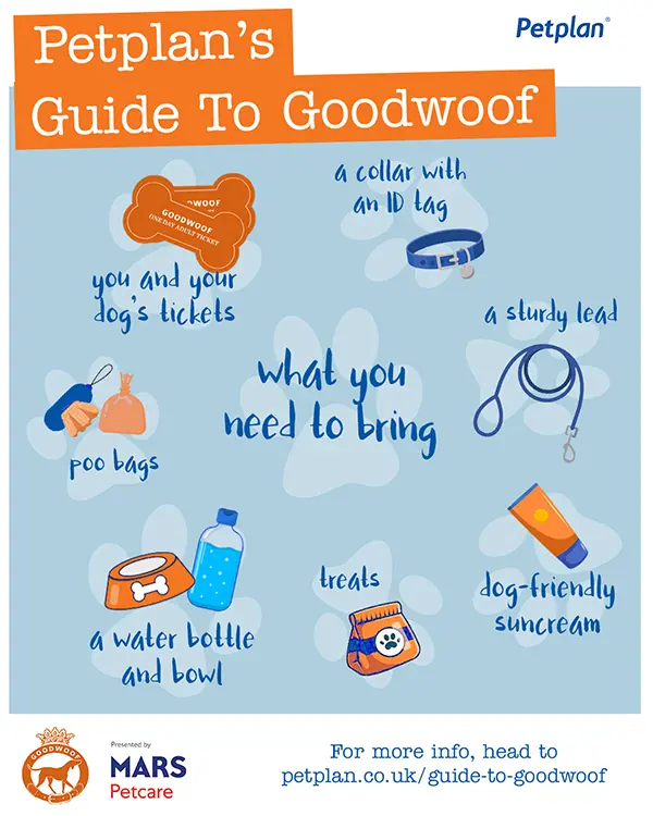 infographic about things to take to goodwoof including a collar with an ID tag, you and your dog's tickets, poo bags, a sturdy lead, a water bottle and bowl, treats, dog-friendly suncream