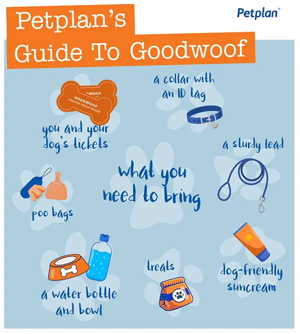 infographic about things to take to goodwoof including a collar with an ID tag, you and your dog's tickets, poo bags, a sturdy lead, a water bottle and bowl, treats, dog-friendly suncream