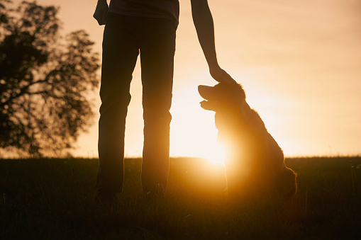 Dog and man with sunset behind 