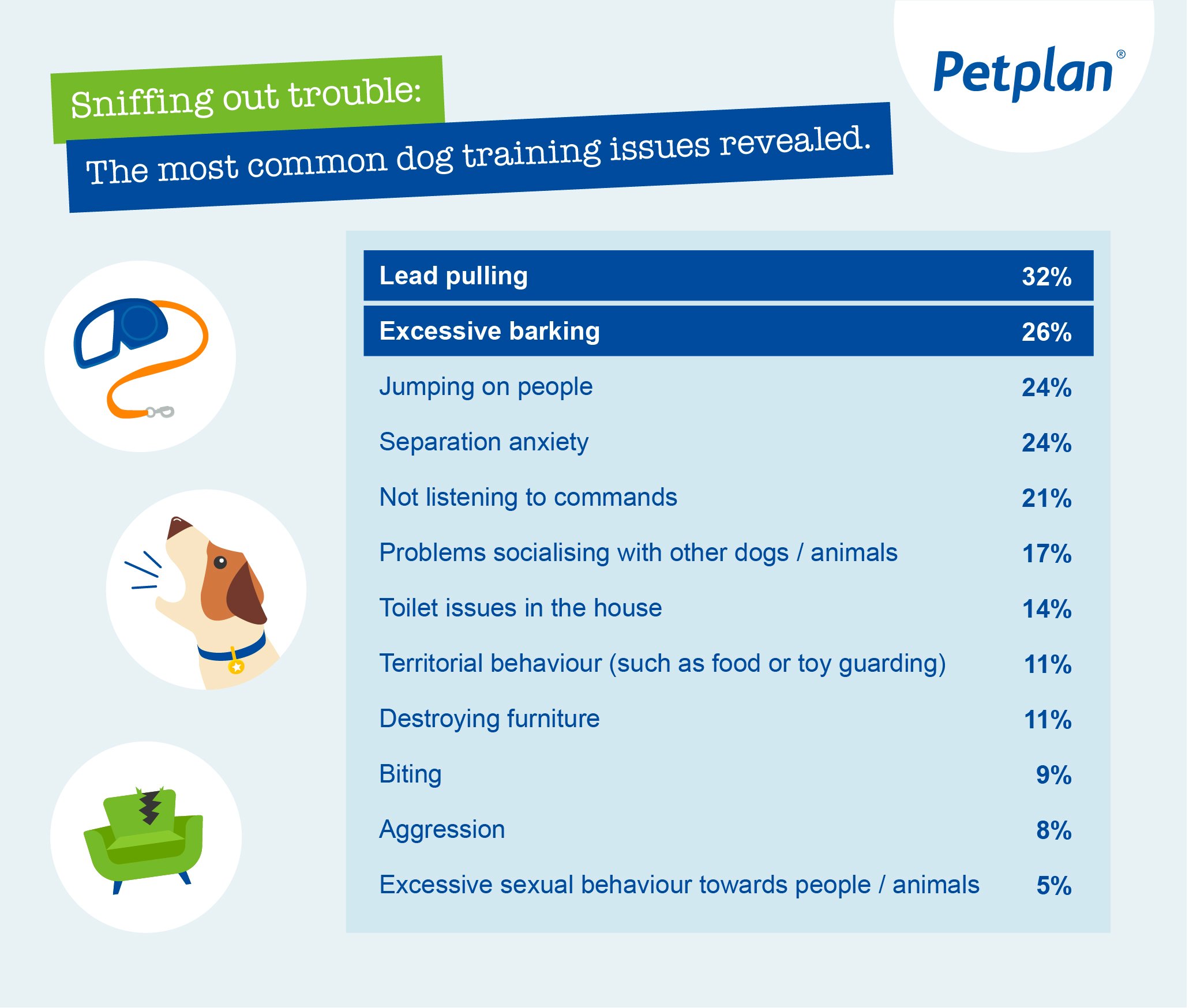 infographic showing the most common dog training issues