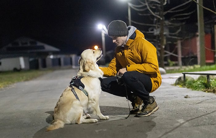 man crouching down stroking dog on a dark street
