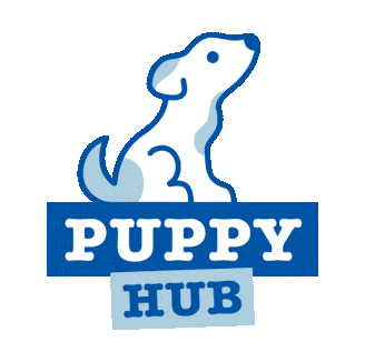 Getting a Puppy | Puppy Hub | Petplan