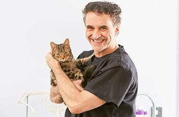 Professor Noel Fitzpatrick in a black shirt gently holds a tabby cat