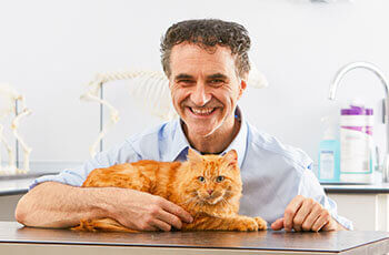 Professor Noel Fitzpatrick in a veterinary clinic with an orange cat on a table.