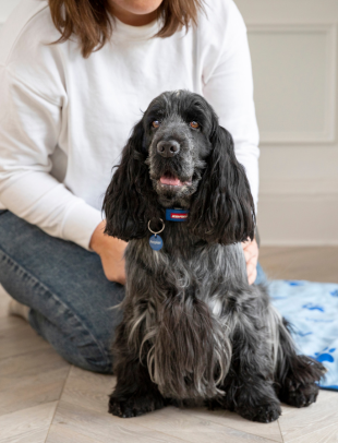 useful description of image if informative and not decoration only.