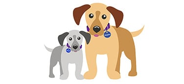 A cartoon large tan dog and a small grey dog stand side-by-side.