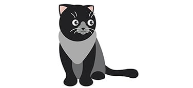 A cartoon black cat with white whiskers and a grey cape sits looking forward.