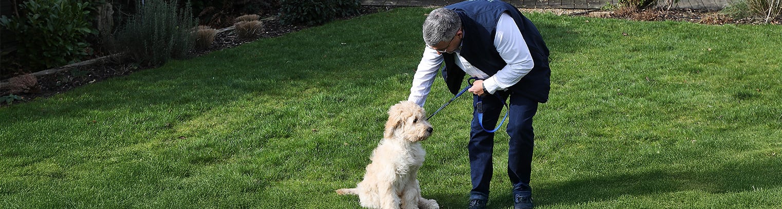 A man in a white shirt and dark vest pets a light-colored dog on a leash in a grassy yard.