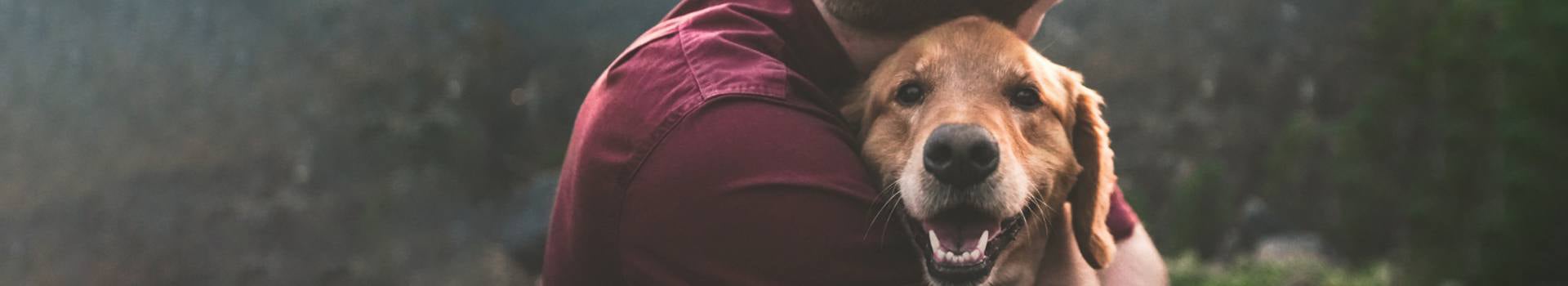 A person in a red shirt hugs a happy golden retriever, whose face is visible.