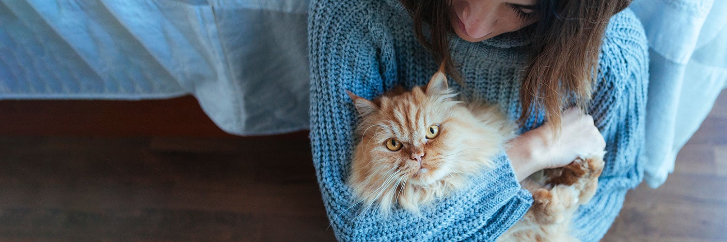 A person in a blue knitted sweater holds a fluffy ginger cat with yellow eyes.