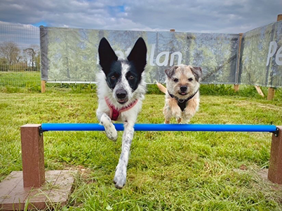 Canford Park SANG dog adventure park